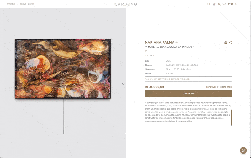 Carbono Galeria site image
